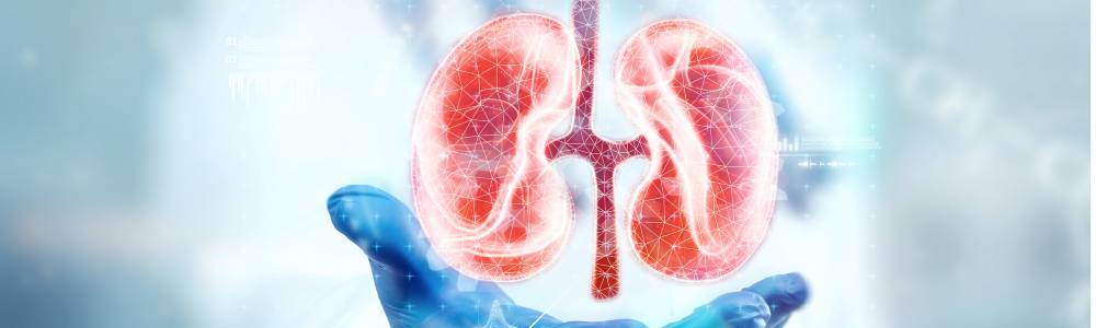 Kidney specialist in Shapur, Hyderabad